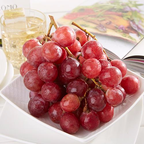 九游手机版下载产品名称五